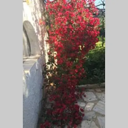 Feriehus Evelina Country House Marathopoli